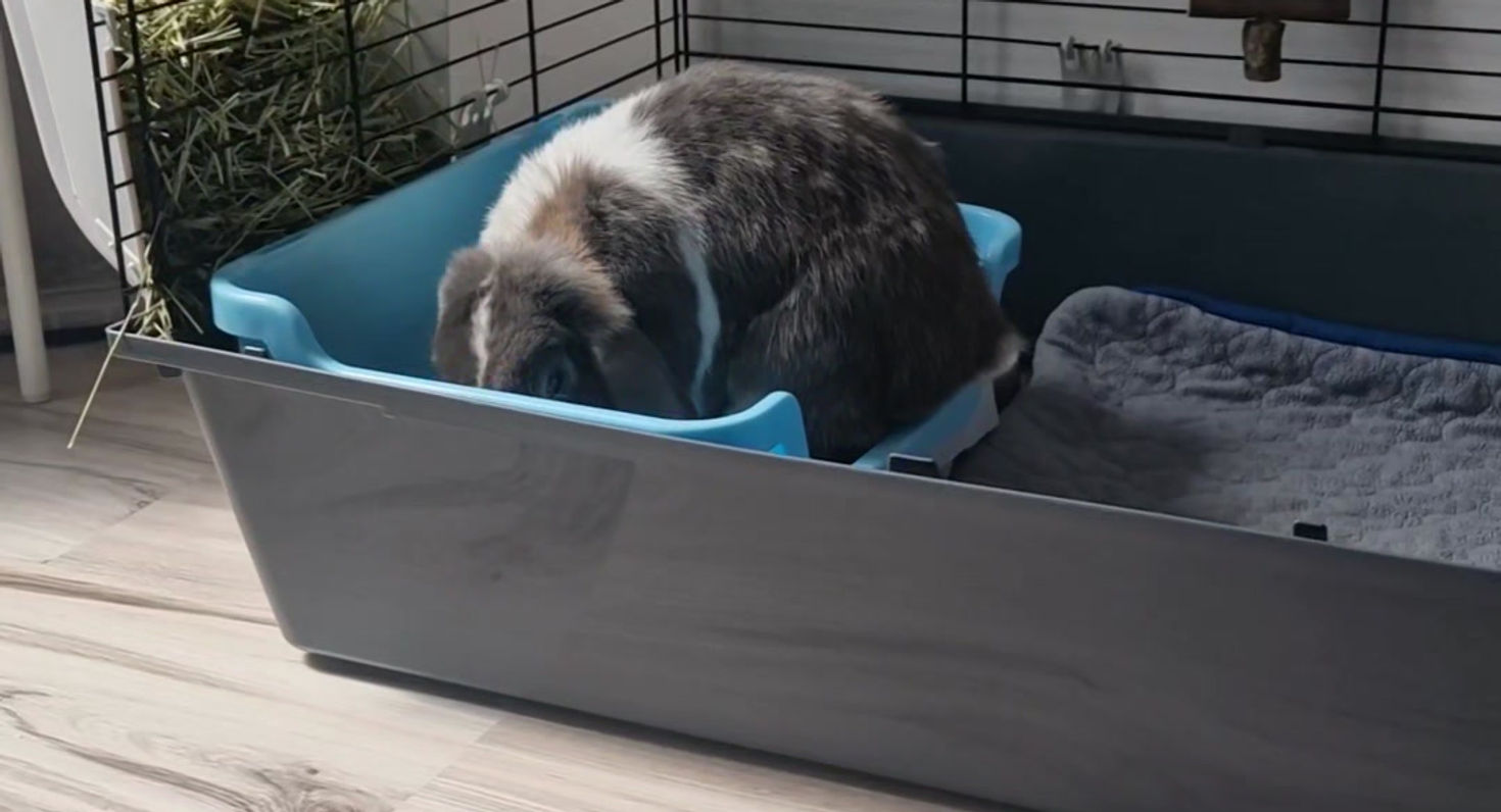 Video 2